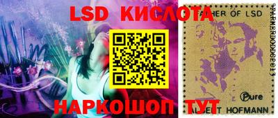 ГАЛЛЮЦИНОГЕННЫЕ ГРИБЫ Берёзовский