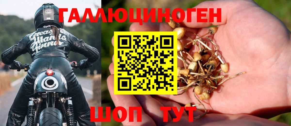 Галлюциногенные грибы мухоморы Иваново